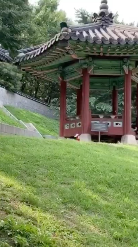 https://d2zmqyh8caa94h.cloudfront.net/creator_social_media_contents/instagram/reels/B2ymhoMj_C_/B2ymhoMj_C_.mp4