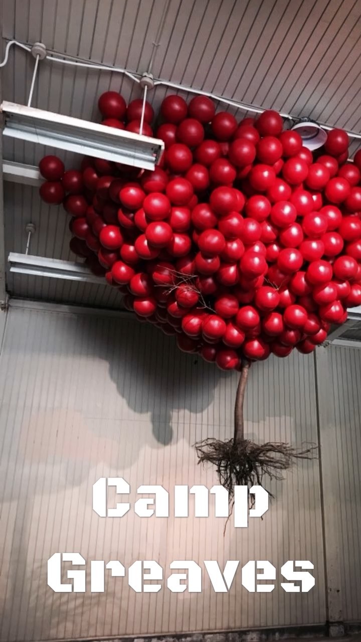 https://d2zmqyh8caa94h.cloudfront.net/creator_social_media_contents/instagram/reels/Bn7LripHt7x/Bn7LripHt7x.mp4