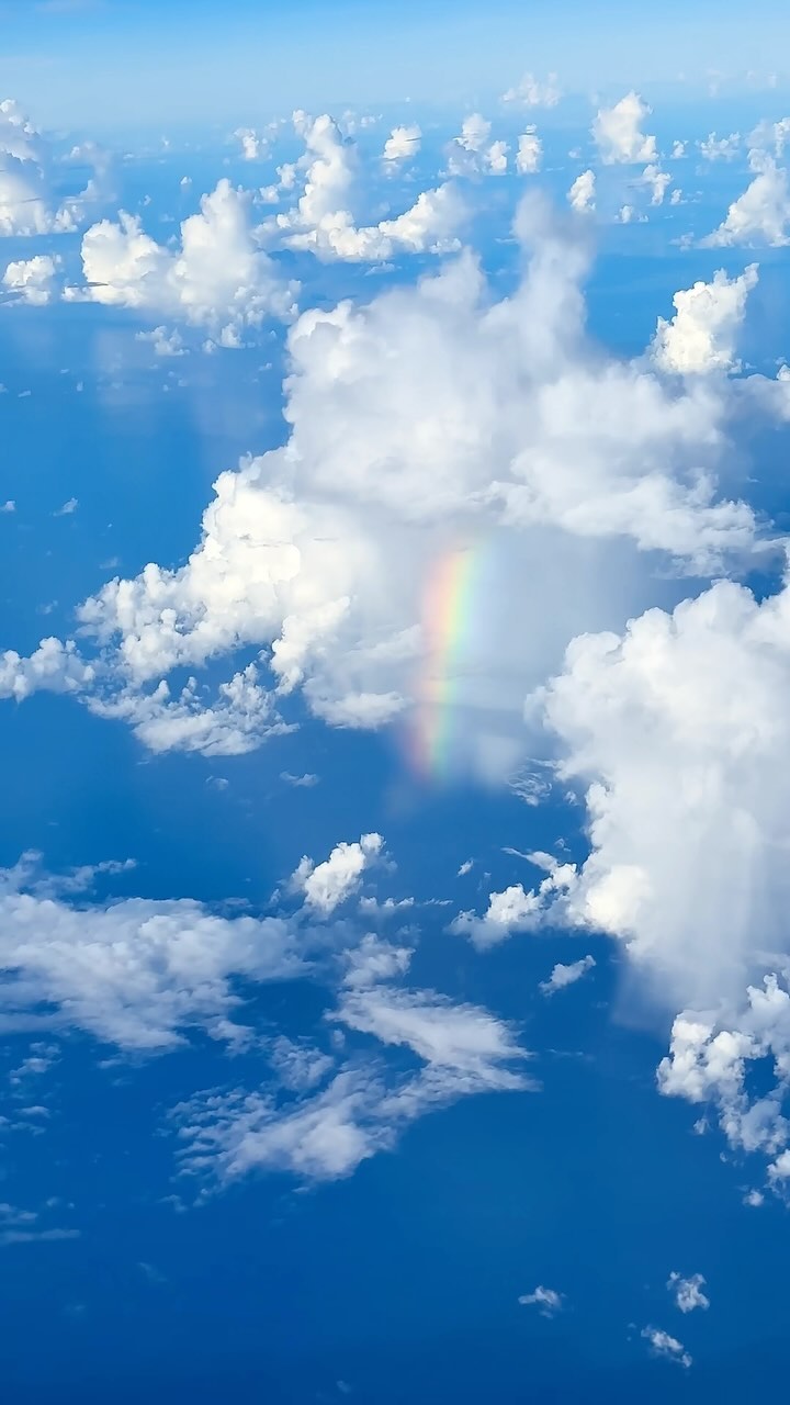 https://d2zmqyh8caa94h.cloudfront.net/creator_social_media_contents/instagram/reels/C-Ek-ZHpKTC/C-Ek-ZHpKTC.mp4