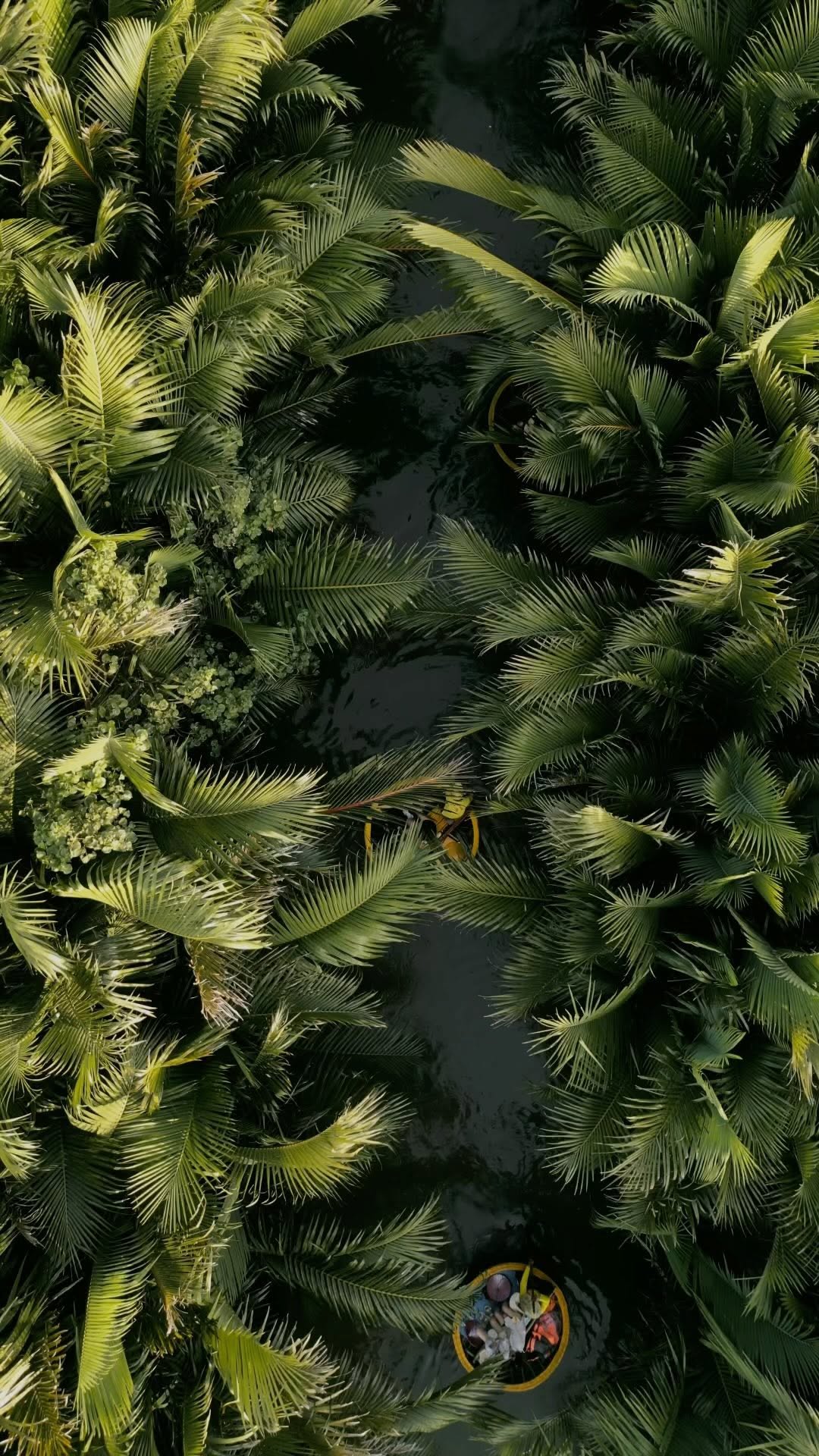https://d2zmqyh8caa94h.cloudfront.net/creator_social_media_contents/instagram/reels/C-LcilzSyhP/C-LcilzSyhP.mp4