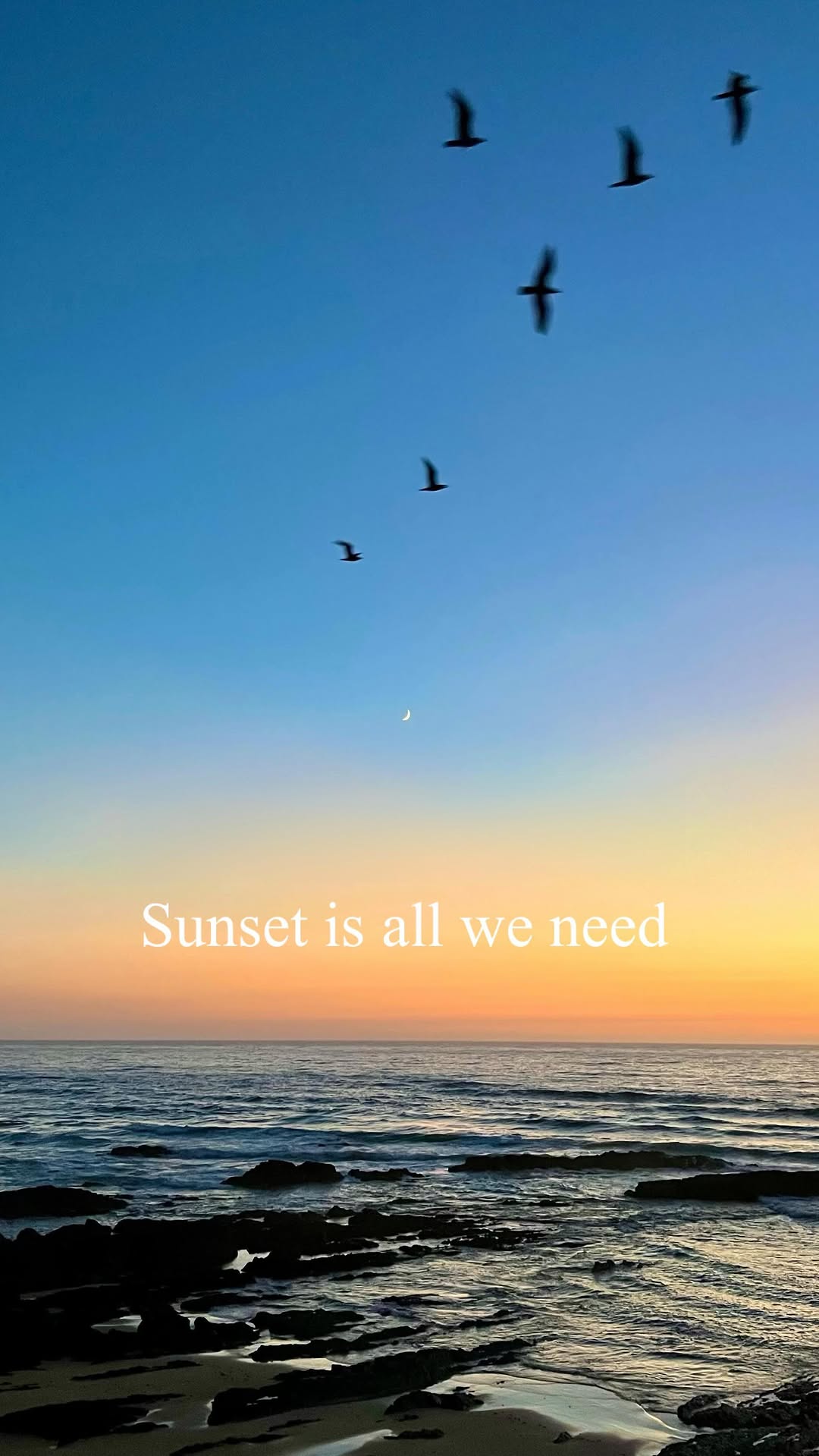 https://d2zmqyh8caa94h.cloudfront.net/creator_social_media_contents/instagram/reels/C-fRXE4qx0l/C-fRXE4qx0l.mp4