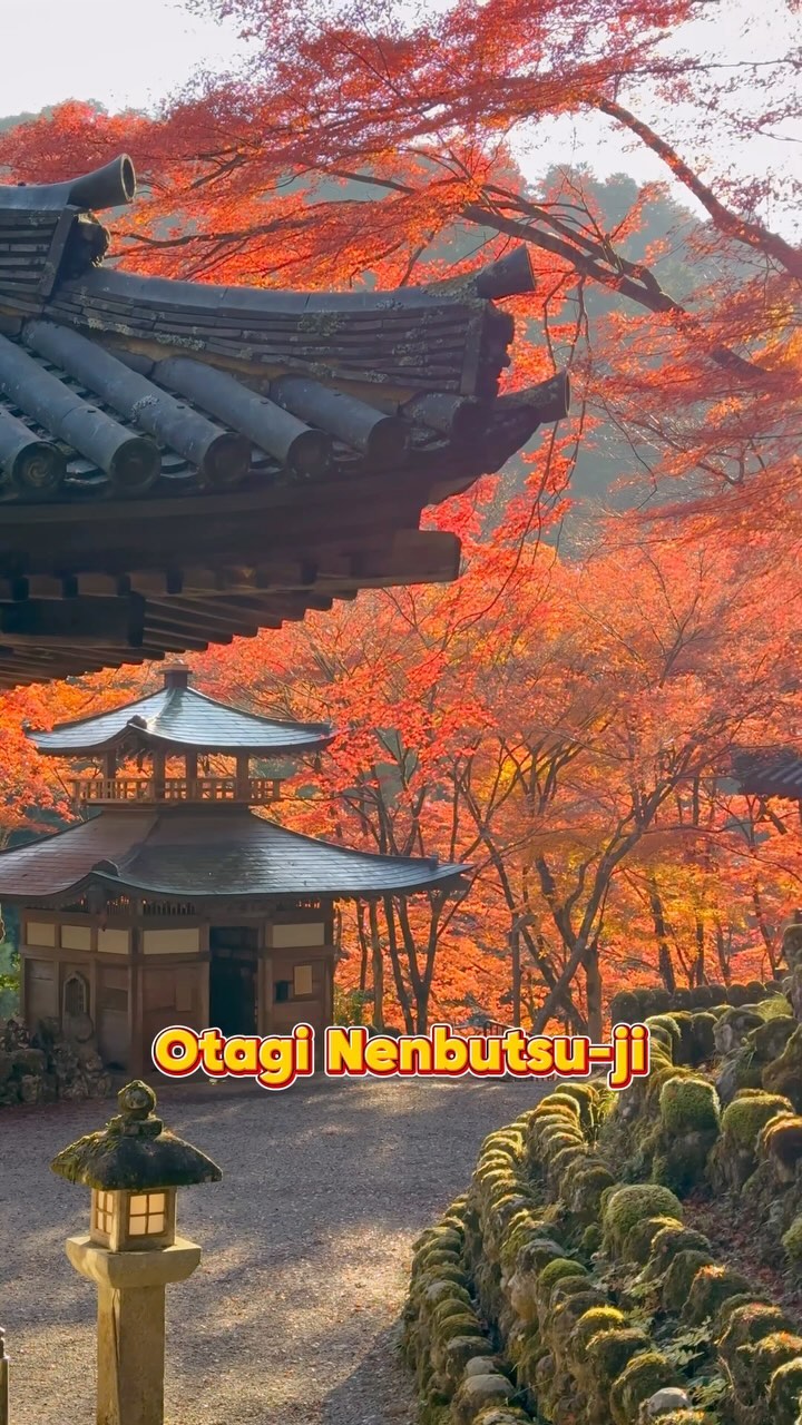 https://d2zmqyh8caa94h.cloudfront.net/creator_social_media_contents/instagram/reels/C0TufmKpsMS/C0TufmKpsMS.mp4