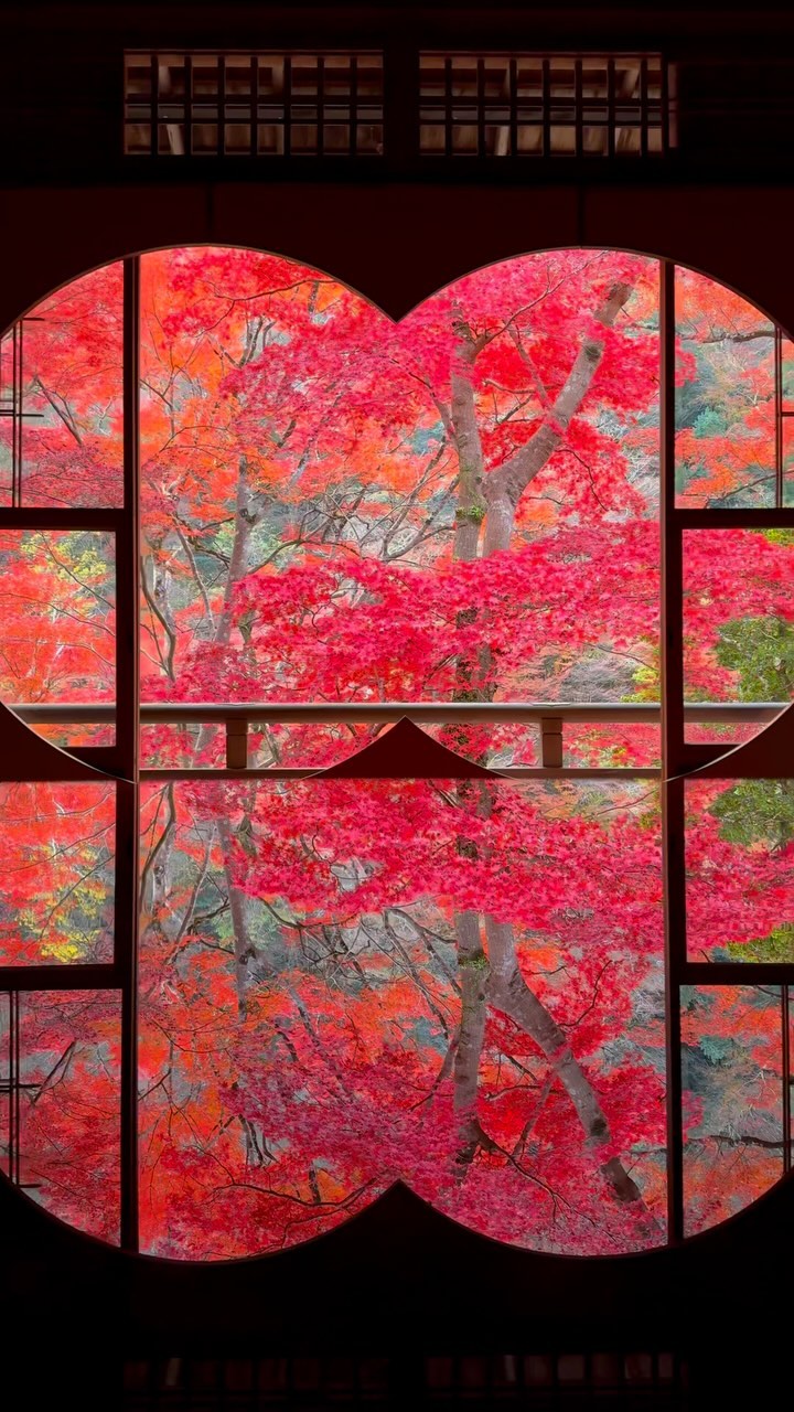 https://d2zmqyh8caa94h.cloudfront.net/creator_social_media_contents/instagram/reels/C0g_ybrJCJG/C0g_ybrJCJG.mp4