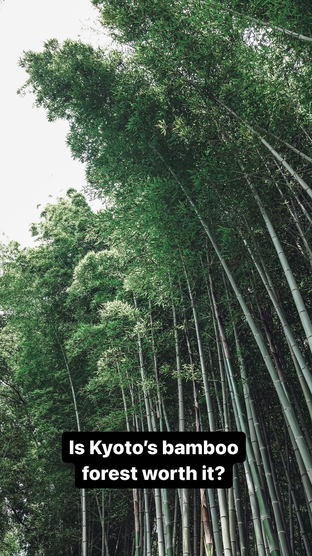 https://d2zmqyh8caa94h.cloudfront.net/creator_social_media_contents/instagram/reels/C2_CmPAPxwF/C2_CmPAPxwF.mp4
