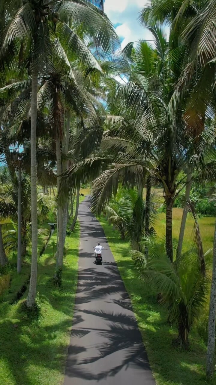 https://d2zmqyh8caa94h.cloudfront.net/creator_social_media_contents/instagram/reels/C4-dZhNo8F0/C4-dZhNo8F0.mp4