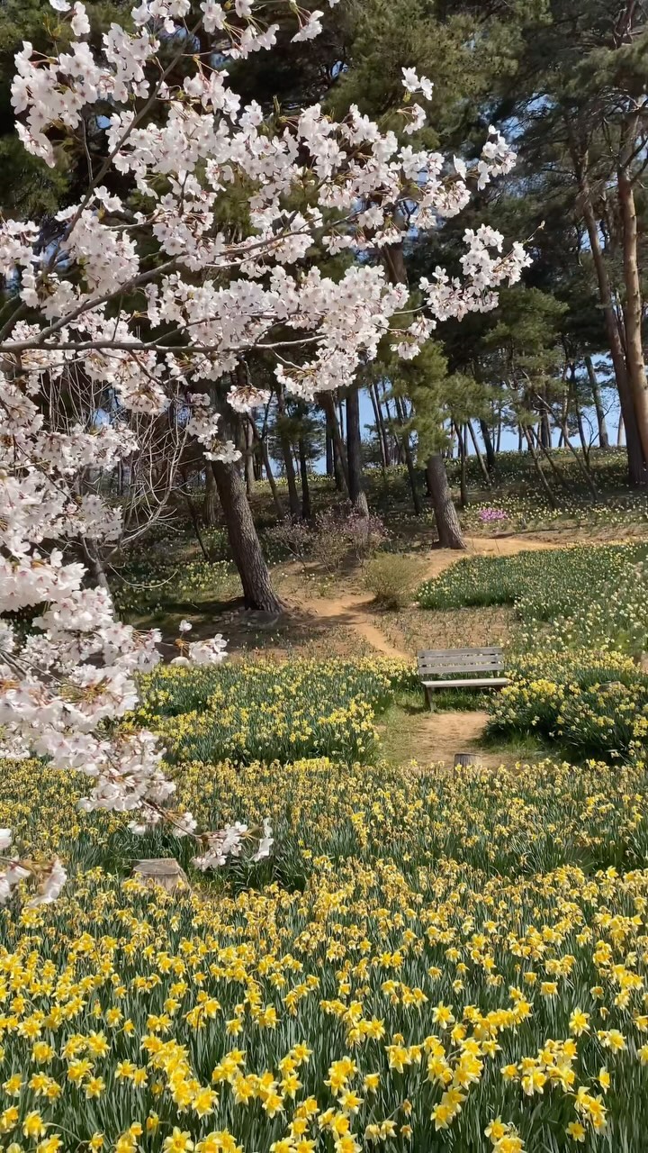 https://d2zmqyh8caa94h.cloudfront.net/creator_social_media_contents/instagram/reels/C42OGYgp5rI/C42OGYgp5rI.mp4