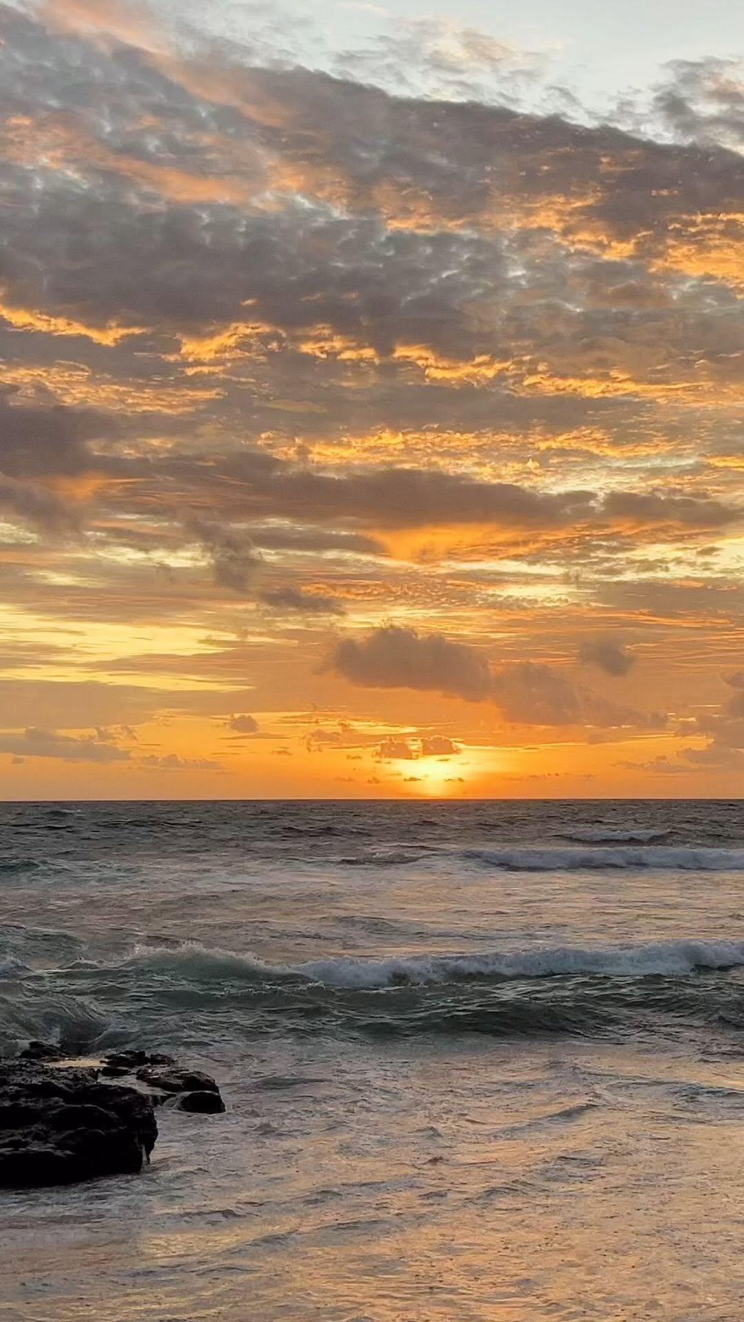 https://d2zmqyh8caa94h.cloudfront.net/creator_social_media_contents/instagram/reels/C4u8FjmoMjB/C4u8FjmoMjB.mp4