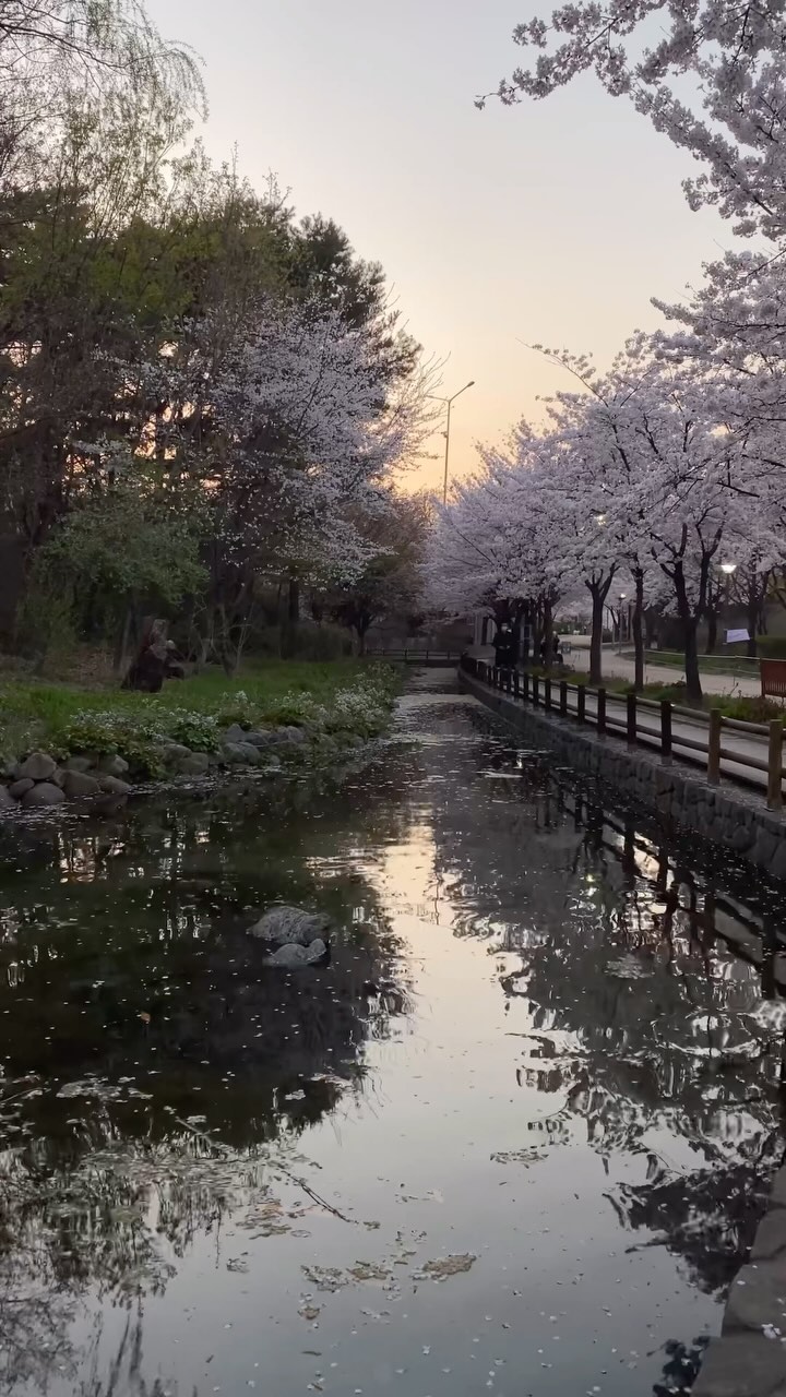 https://d2zmqyh8caa94h.cloudfront.net/creator_social_media_contents/instagram/reels/C5VzYRRpCBP/C5VzYRRpCBP.mp4