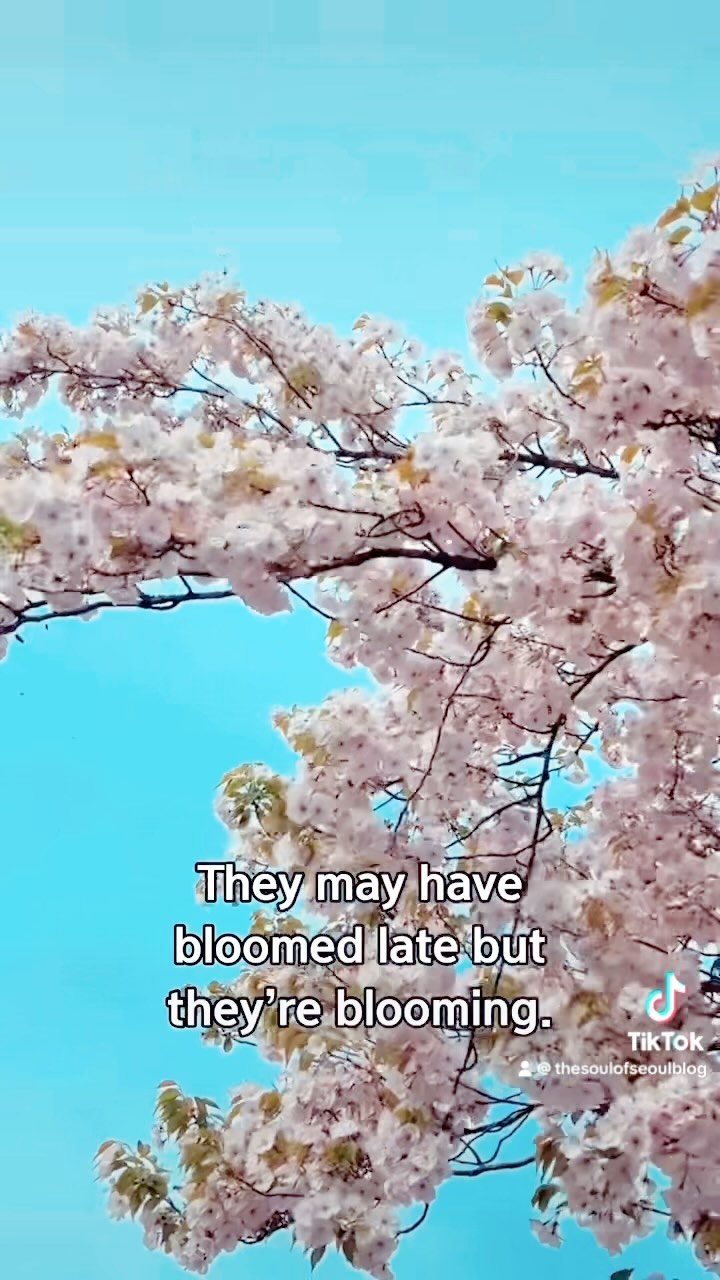https://d2zmqyh8caa94h.cloudfront.net/creator_social_media_contents/instagram/reels/C5bMoTVsINJ/C5bMoTVsINJ.mp4