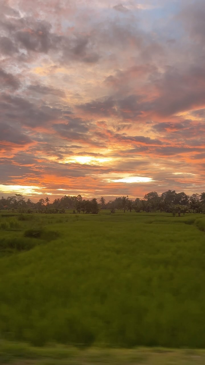 https://d2zmqyh8caa94h.cloudfront.net/creator_social_media_contents/instagram/reels/C5n89vpv-tk/C5n89vpv-tk.mp4