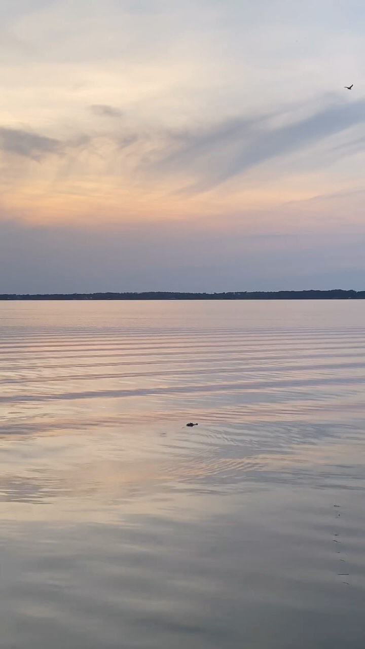 https://d2zmqyh8caa94h.cloudfront.net/creator_social_media_contents/instagram/reels/C66gRmlsFgN/C66gRmlsFgN.mp4
