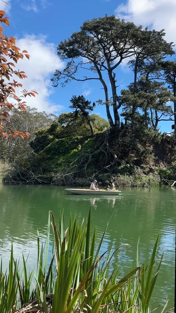 dothebay, Japanese Tea Garden