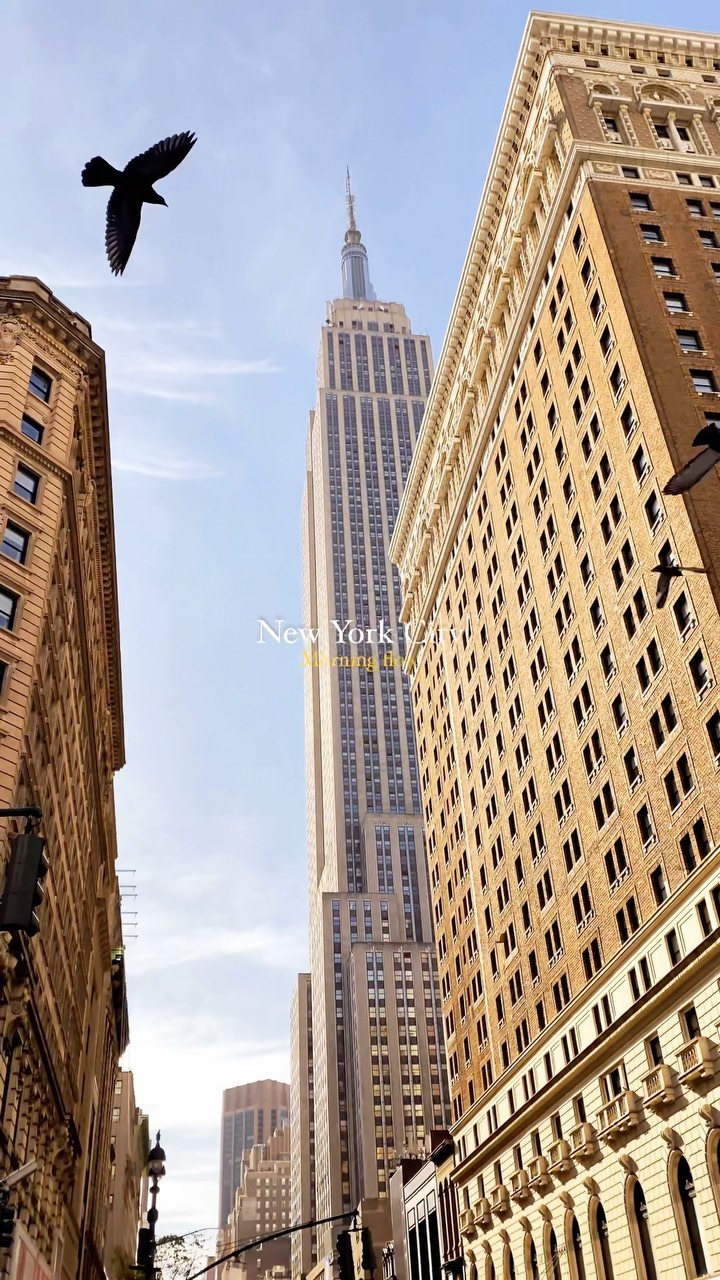 https://d2zmqyh8caa94h.cloudfront.net/creator_social_media_contents/instagram/reels/C6WIUnauAGe/C6WIUnauAGe.mp4