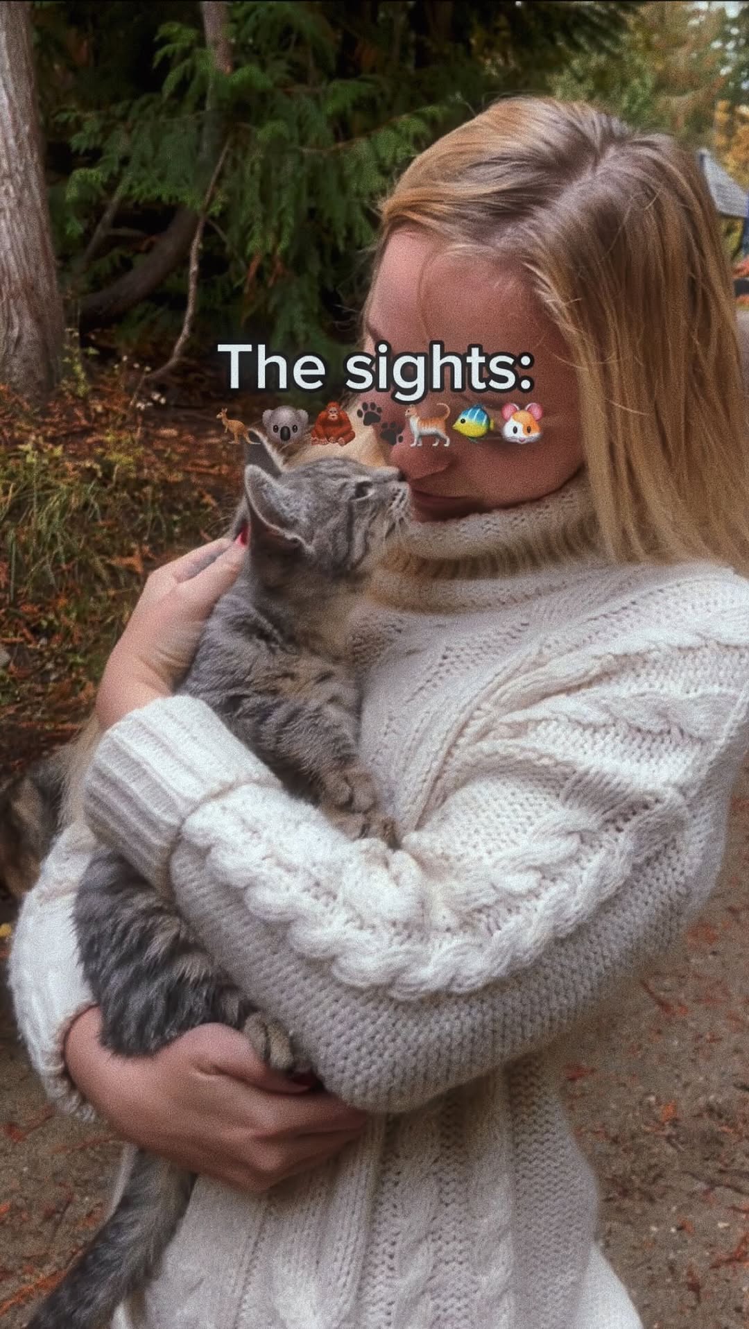 https://d2zmqyh8caa94h.cloudfront.net/creator_social_media_contents/instagram/reels/C7wu_3Wi2R3/C7wu_3Wi2R3.mp4