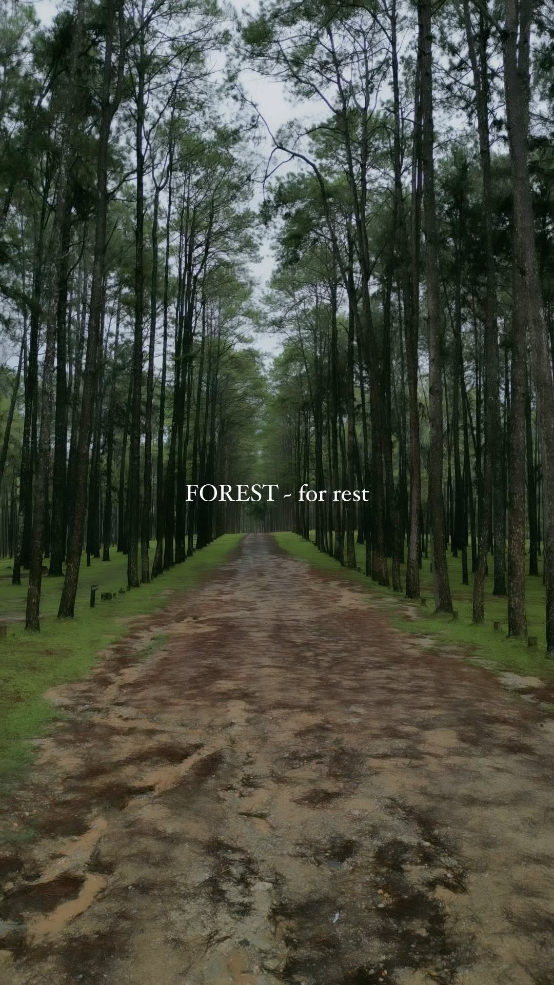 https://d2zmqyh8caa94h.cloudfront.net/creator_social_media_contents/instagram/reels/C83_xoRvXLx/C83_xoRvXLx.mp4
