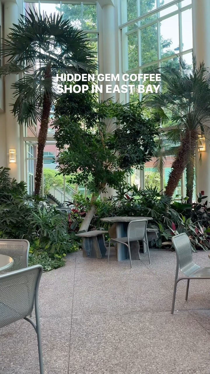 https://d2zmqyh8caa94h.cloudfront.net/creator_social_media_contents/instagram/reels/C8XGq-GJcdZ/C8XGq-GJcdZ.mp4