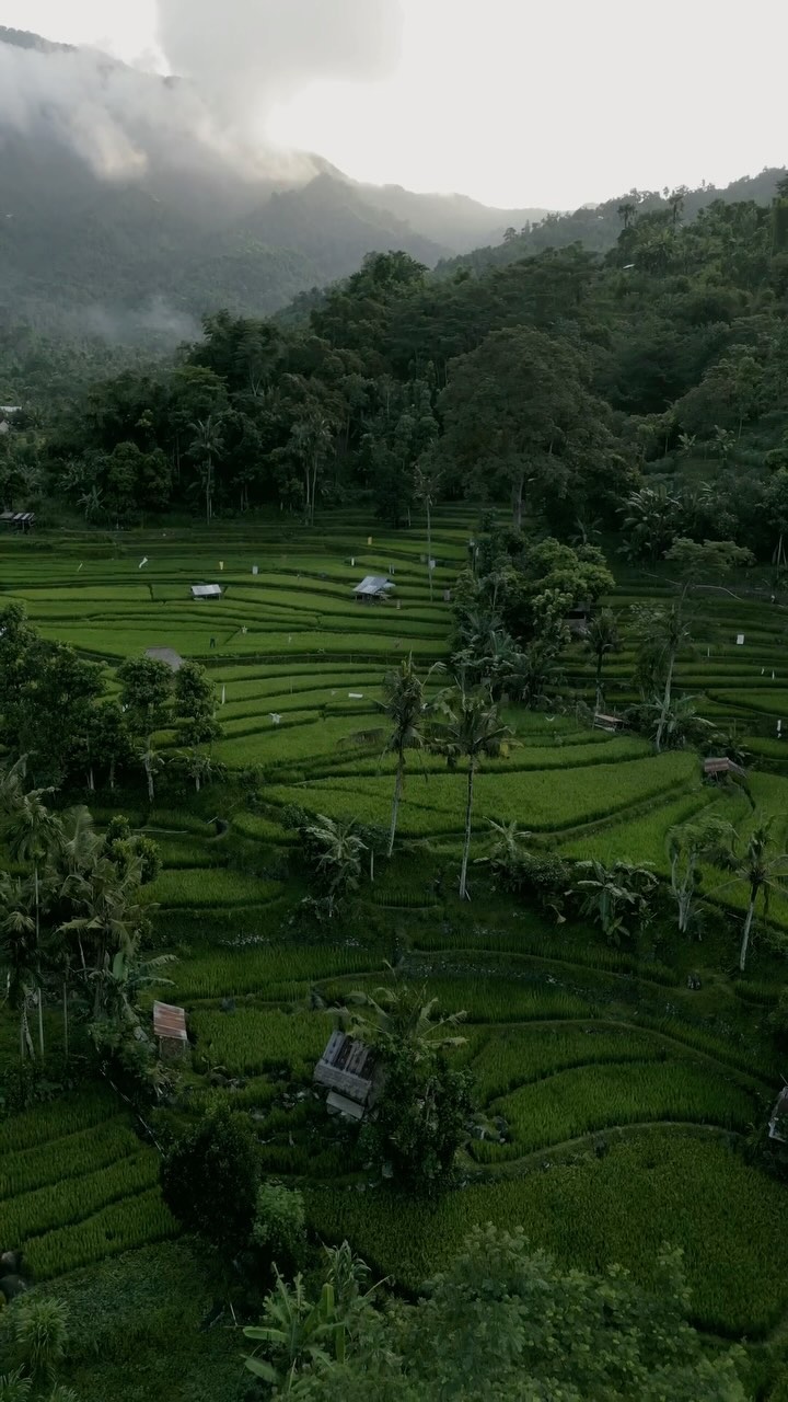 https://d2zmqyh8caa94h.cloudfront.net/creator_social_media_contents/instagram/reels/C8xVuotSnho/C8xVuotSnho.mp4