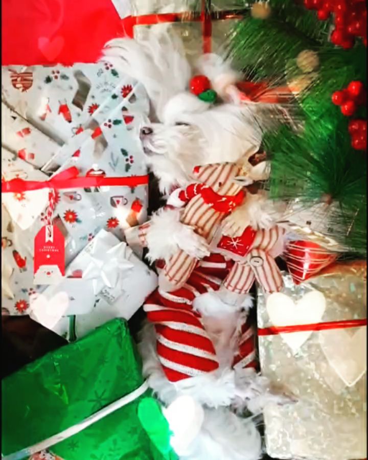 https://d2zmqyh8caa94h.cloudfront.net/creator_social_media_contents/instagram/reels/CJMFR4WlFxt/CJMFR4WlFxt.mp4