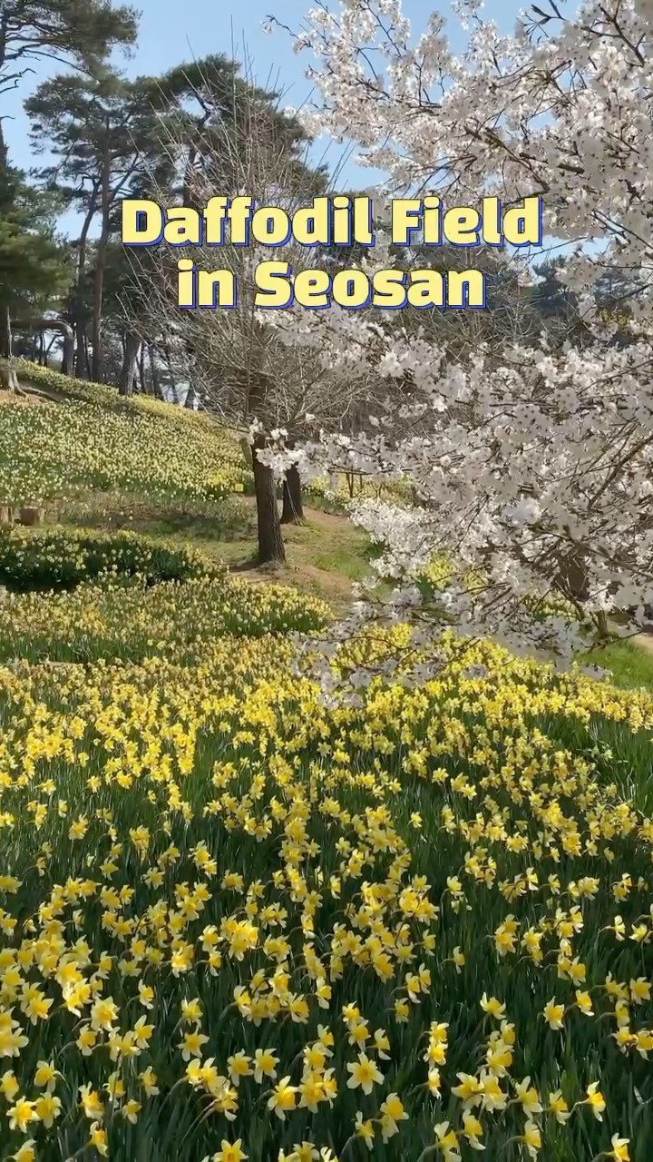 https://d2zmqyh8caa94h.cloudfront.net/creator_social_media_contents/instagram/reels/CLuHaAvjpzv/CLuHaAvjpzv.mp4