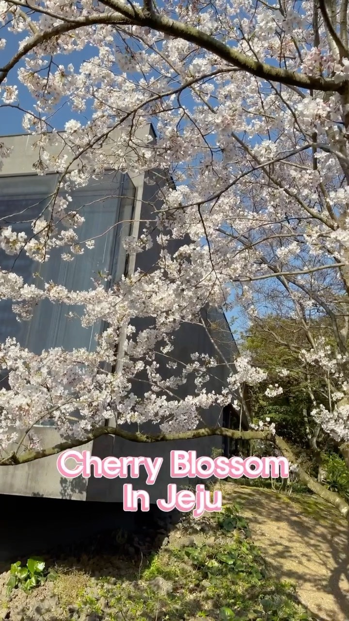 https://d2zmqyh8caa94h.cloudfront.net/creator_social_media_contents/instagram/reels/CNhtoIdD4_G/CNhtoIdD4_G.mp4