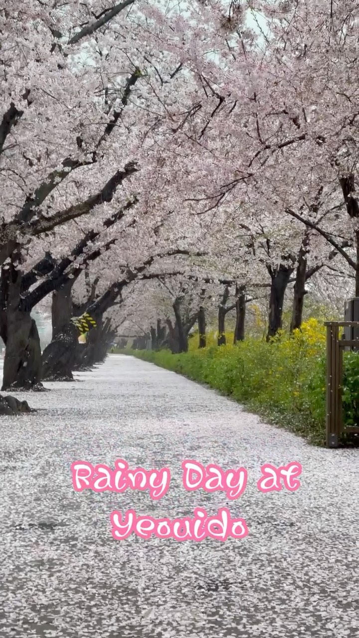 https://d2zmqyh8caa94h.cloudfront.net/creator_social_media_contents/instagram/reels/CNuquyXjDdX/CNuquyXjDdX.mp4