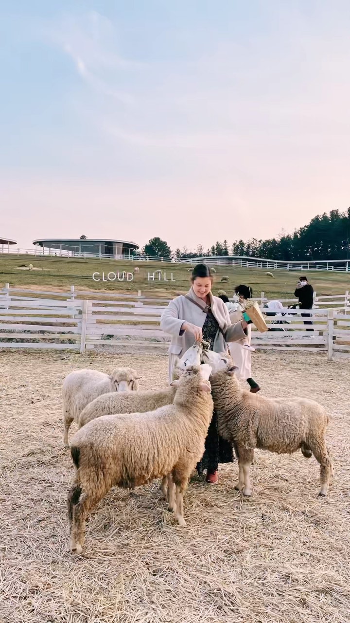 https://d2zmqyh8caa94h.cloudfront.net/creator_social_media_contents/instagram/reels/CVgntKIBJRI/CVgntKIBJRI.mp4