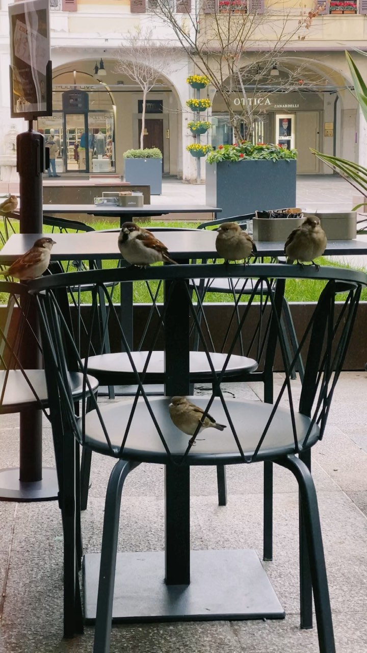 https://d2zmqyh8caa94h.cloudfront.net/creator_social_media_contents/instagram/reels/CWYiaHqgBdw/CWYiaHqgBdw.mp4