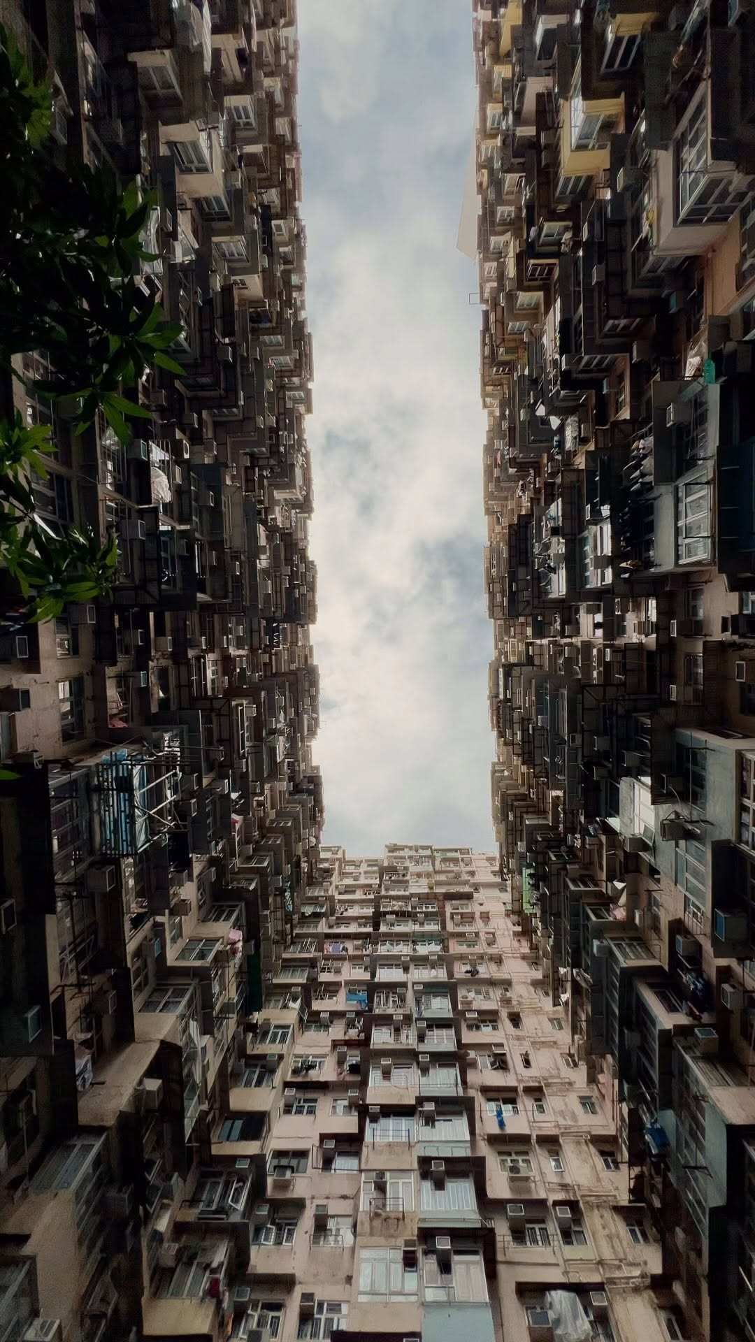 https://d2zmqyh8caa94h.cloudfront.net/creator_social_media_contents/instagram/reels/C_18Cv_PQw5/C_18Cv_PQw5.mp4