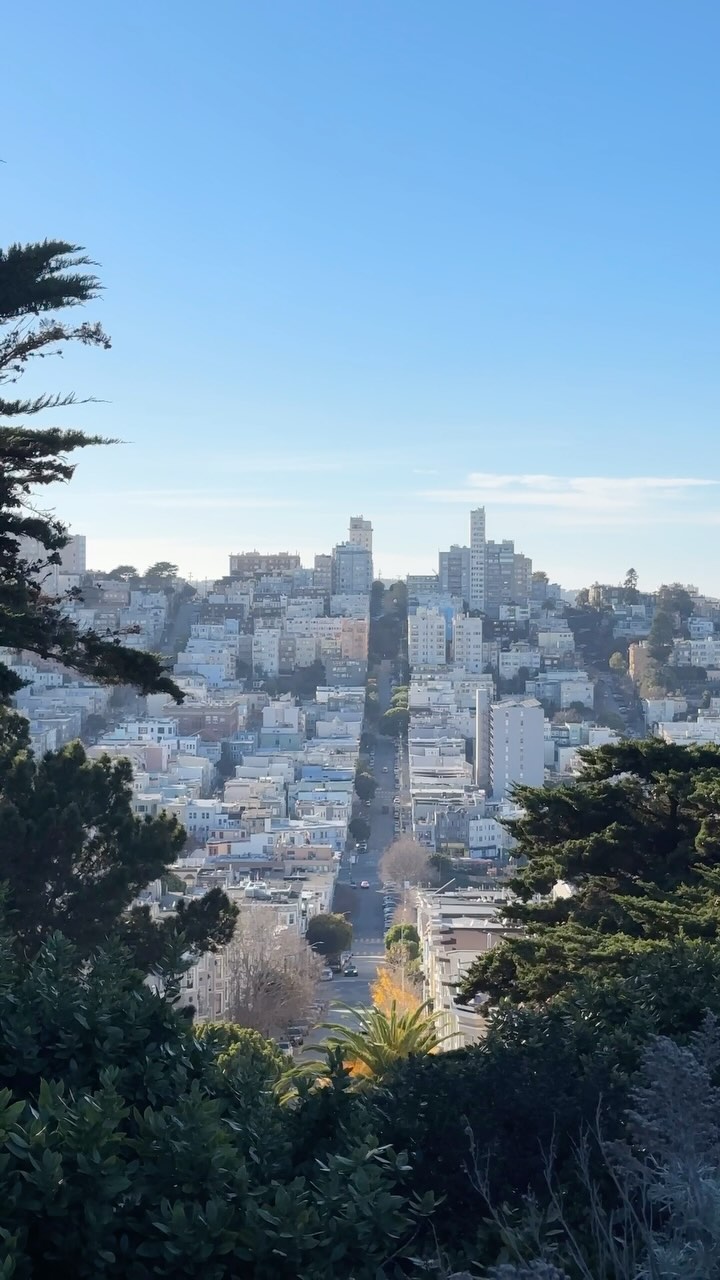 bontraveler, San Francisco Museum of Modern Art