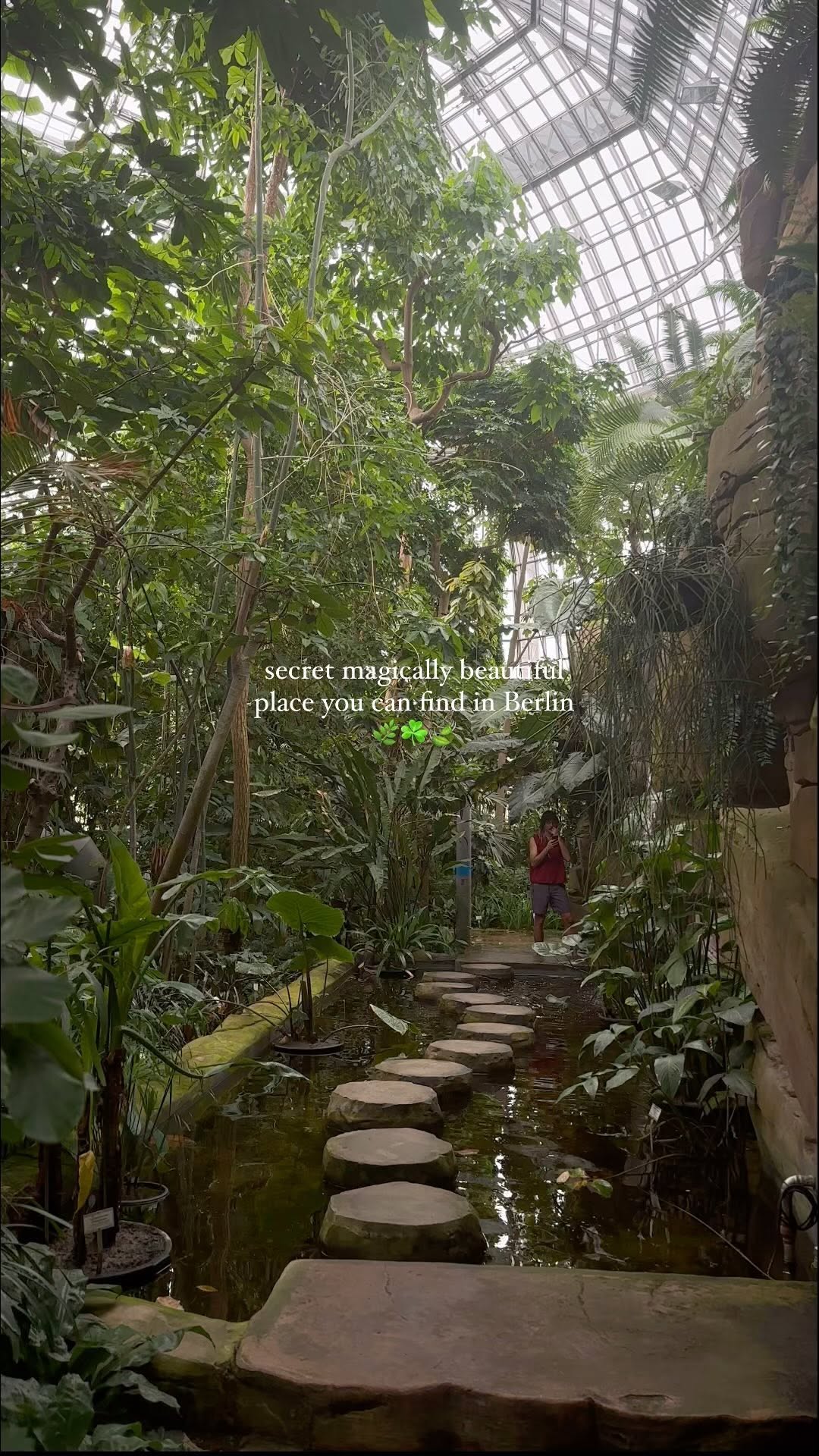https://d2zmqyh8caa94h.cloudfront.net/creator_social_media_contents/instagram/reels/C_lAftQtK_K/C_lAftQtK_K.mp4