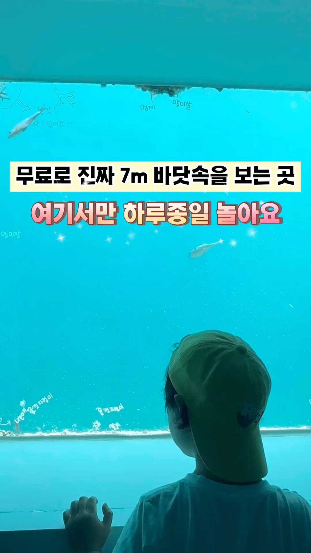 https://d2zmqyh8caa94h.cloudfront.net/creator_social_media_contents/instagram/reels/C_xqmTYpShd/C_xqmTYpShd.mp4
