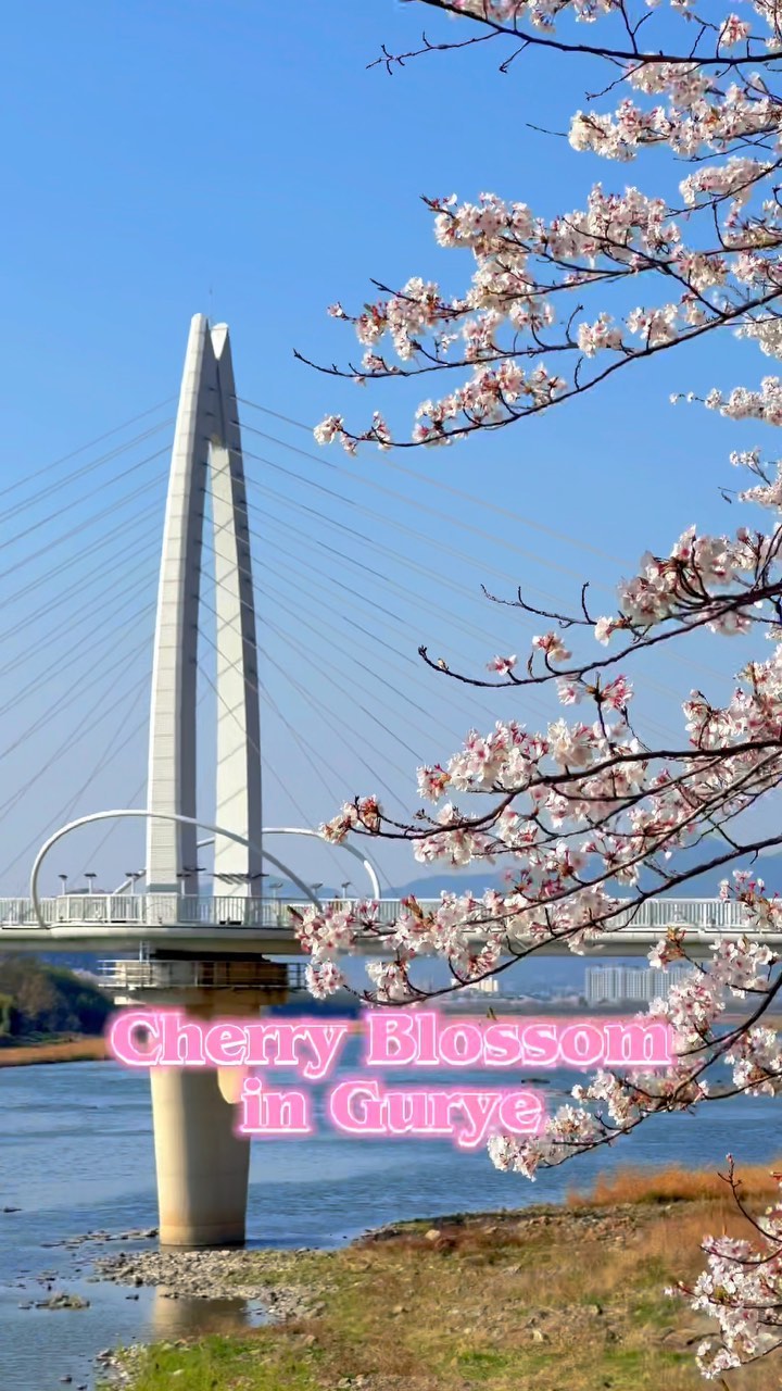 https://d2zmqyh8caa94h.cloudfront.net/creator_social_media_contents/instagram/reels/CcB-WmyNsbg/CcB-WmyNsbg.mp4