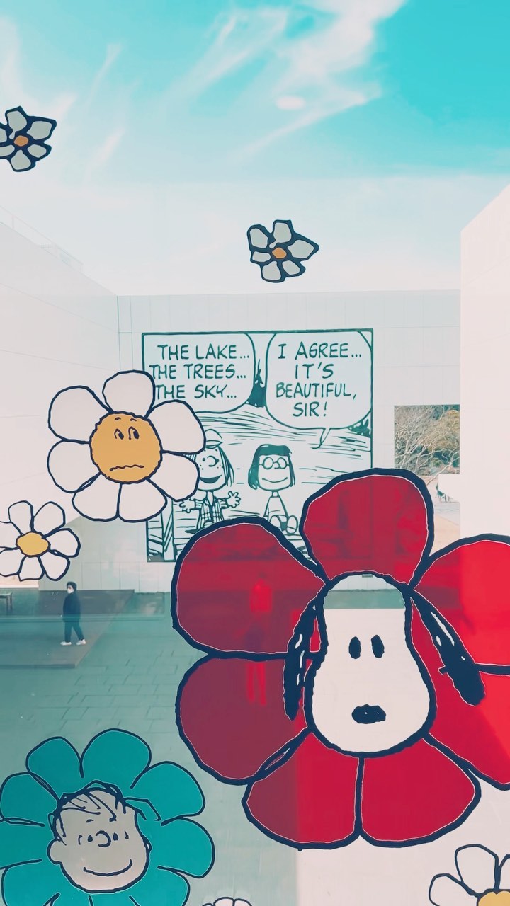 https://d2zmqyh8caa94h.cloudfront.net/creator_social_media_contents/instagram/reels/CcjPSeogycD/CcjPSeogycD.mp4