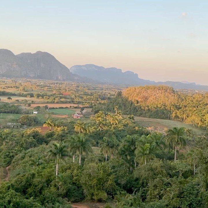 https://d2zmqyh8caa94h.cloudfront.net/creator_social_media_contents/instagram/reels/Cd8RAfpF1xu/Cd8RAfpF1xu.mp4