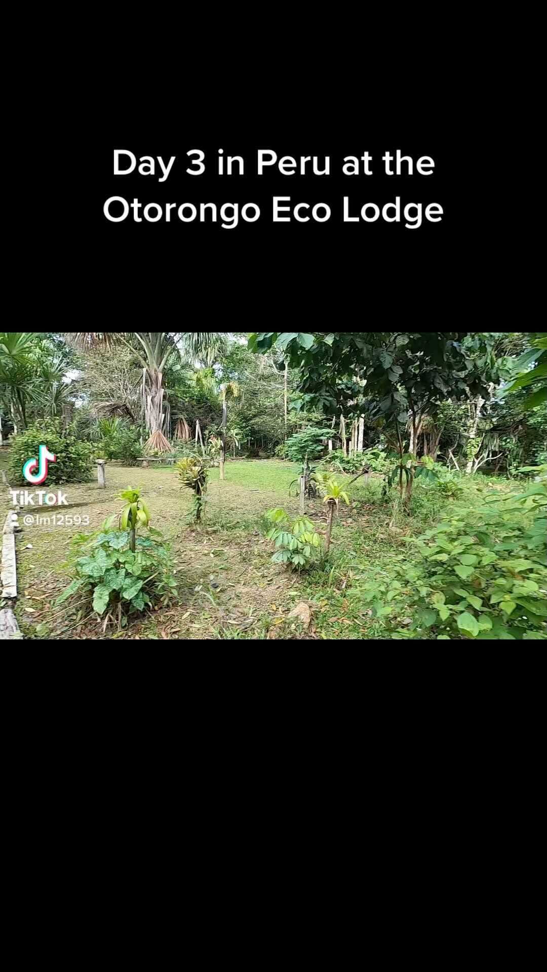 https://d2zmqyh8caa94h.cloudfront.net/creator_social_media_contents/instagram/reels/CdzYQkZF3O2/CdzYQkZF3O2.mp4