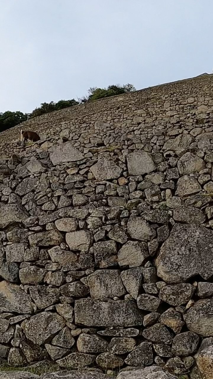 https://d2zmqyh8caa94h.cloudfront.net/creator_social_media_contents/instagram/reels/Ceb-suLFhui/Ceb-suLFhui.mp4