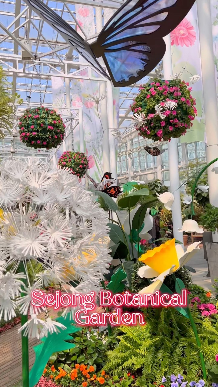 https://d2zmqyh8caa94h.cloudfront.net/creator_social_media_contents/instagram/reels/Cem7m1RJ0YS/Cem7m1RJ0YS.mp4