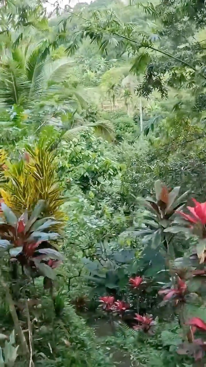 https://d2zmqyh8caa94h.cloudfront.net/creator_social_media_contents/instagram/reels/Cf4JGdtpscn/Cf4JGdtpscn.mp4