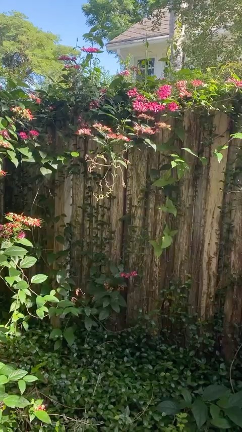 https://d2zmqyh8caa94h.cloudfront.net/creator_social_media_contents/instagram/reels/Cf9Lx8NgPyf/Cf9Lx8NgPyf.mp4