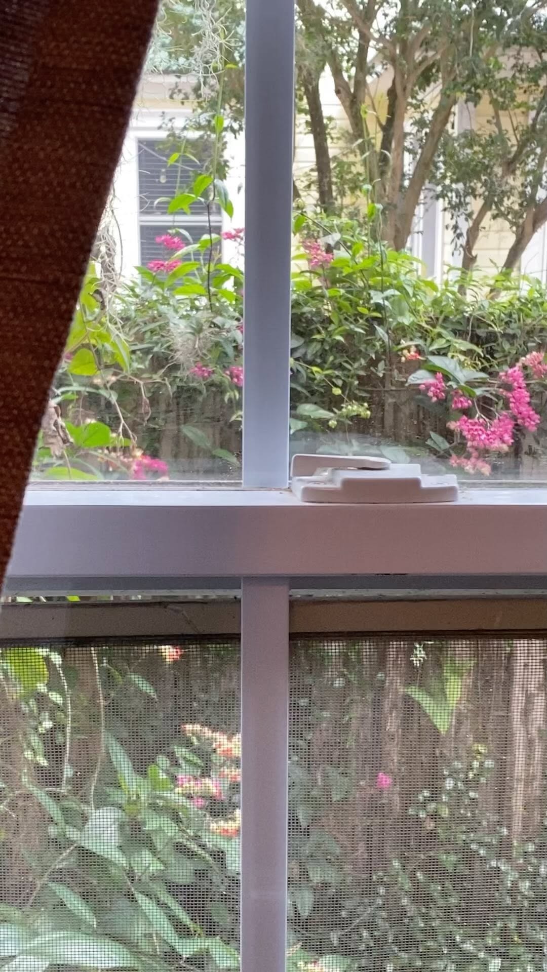 https://d2zmqyh8caa94h.cloudfront.net/creator_social_media_contents/instagram/reels/CgCnY57AqIO/CgCnY57AqIO.mp4