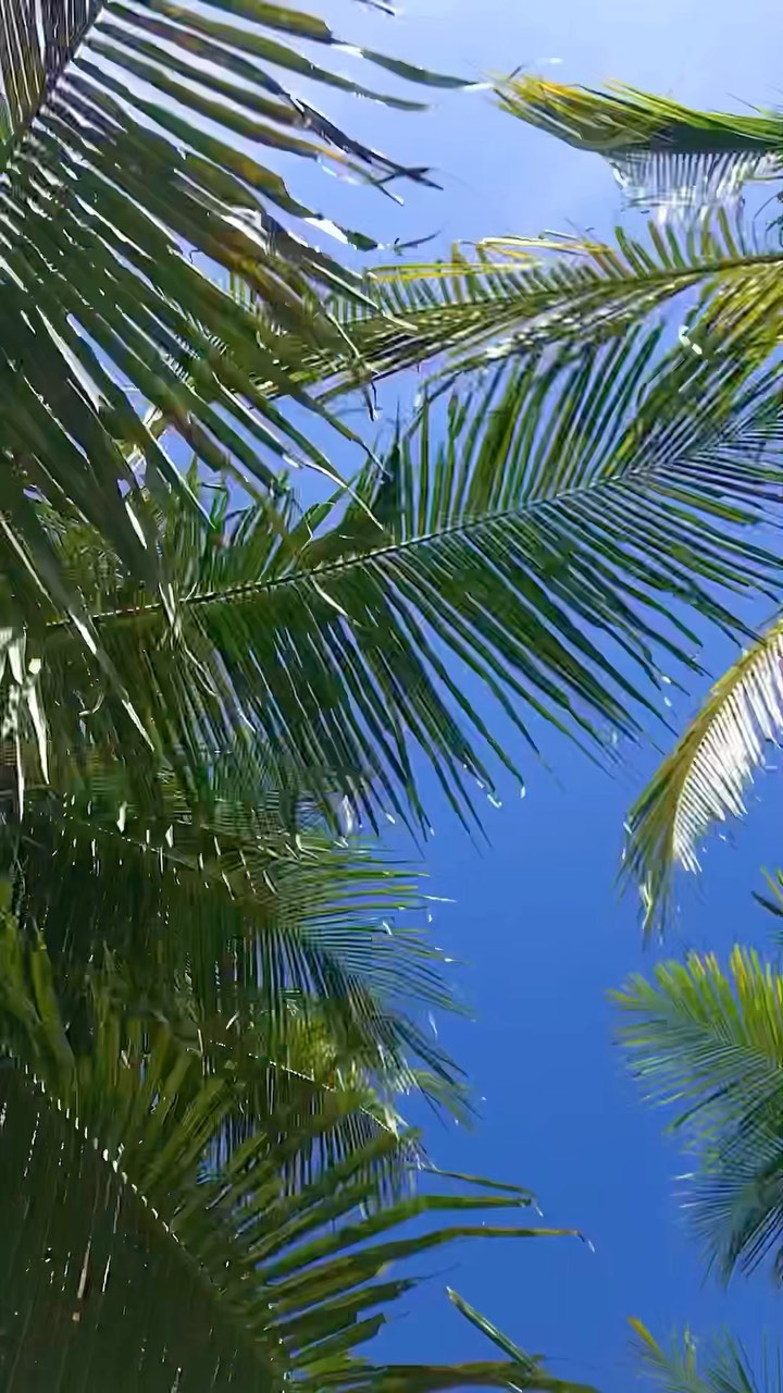 https://d2zmqyh8caa94h.cloudfront.net/creator_social_media_contents/instagram/reels/CgZkh2GpHzb/CgZkh2GpHzb.mp4