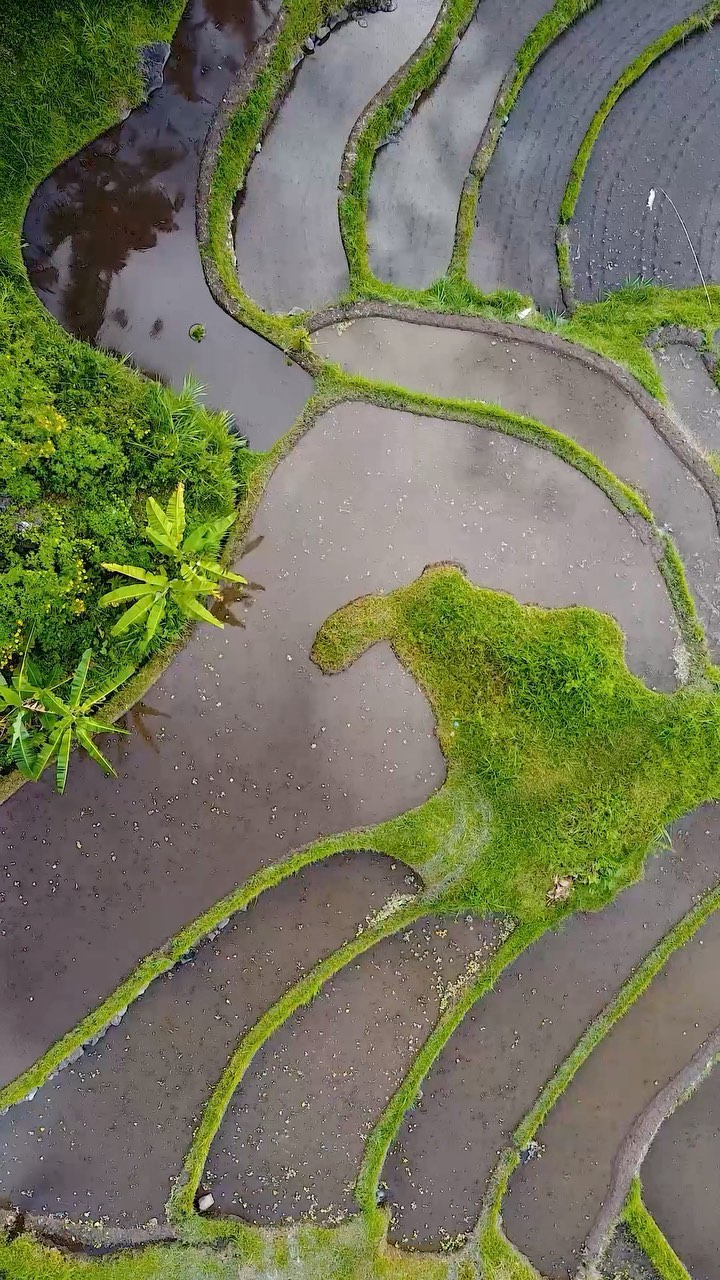 https://d2zmqyh8caa94h.cloudfront.net/creator_social_media_contents/instagram/reels/CgzXx8yJvrh/CgzXx8yJvrh.mp4