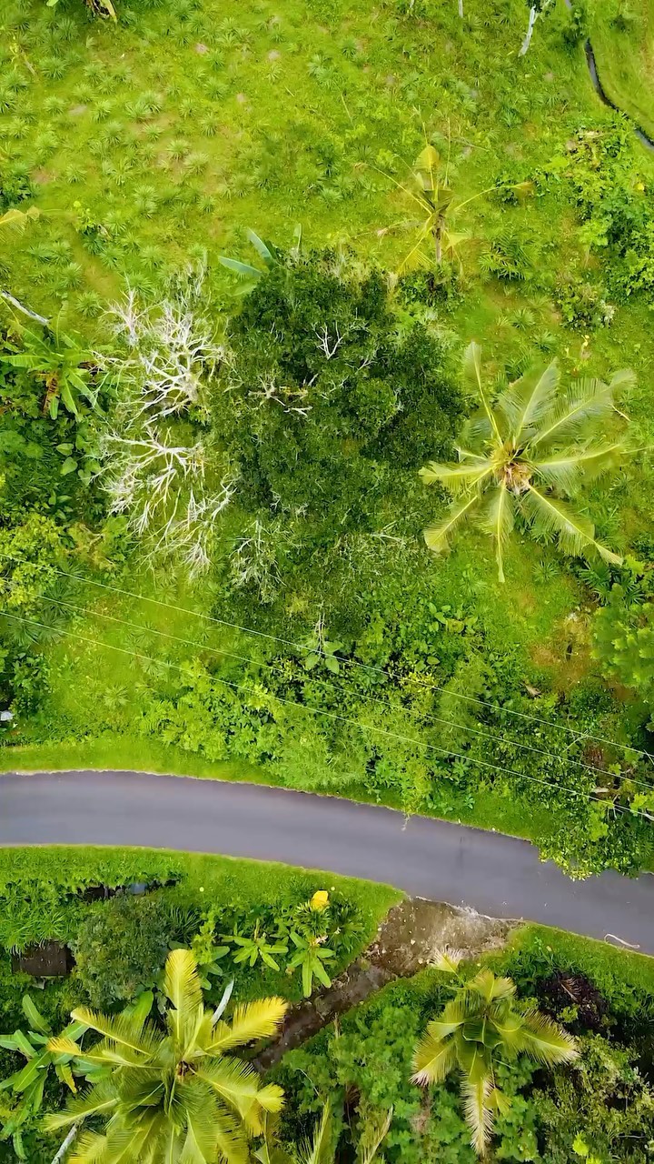 https://d2zmqyh8caa94h.cloudfront.net/creator_social_media_contents/instagram/reels/ChSXChiL2DS/ChSXChiL2DS.mp4