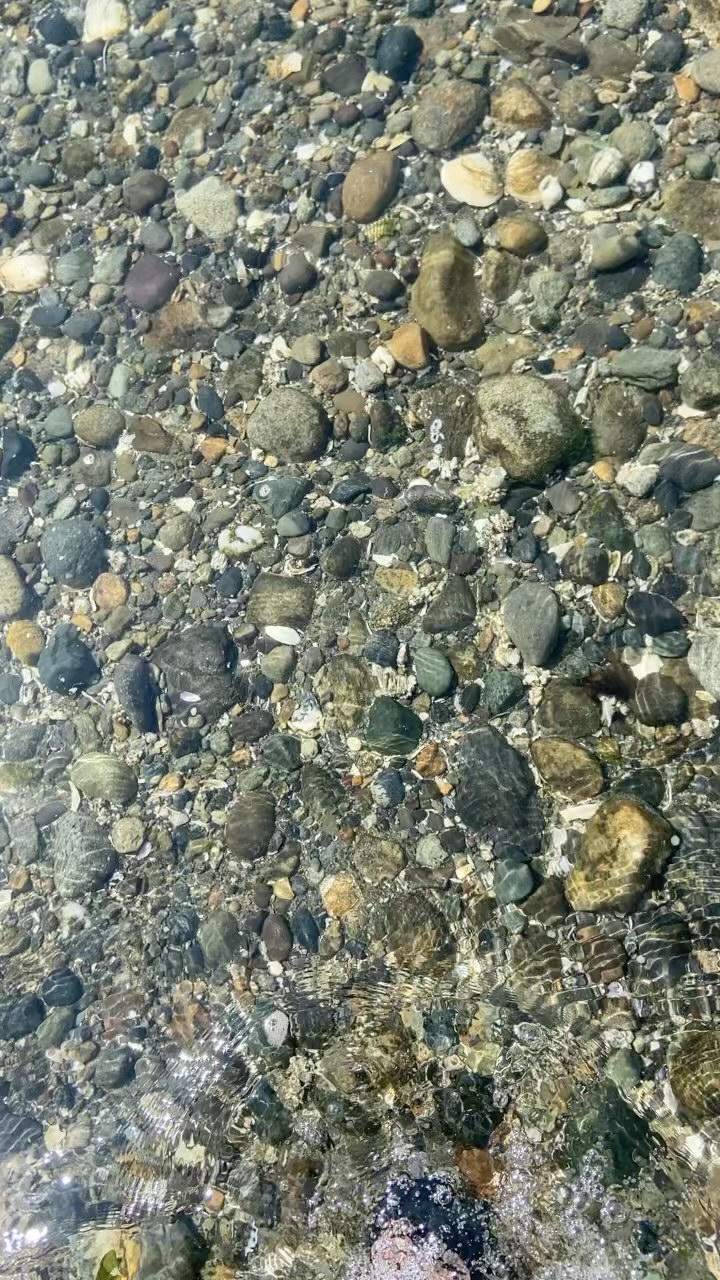https://d2zmqyh8caa94h.cloudfront.net/creator_social_media_contents/instagram/reels/ChairhwFbmA/ChairhwFbmA.mp4