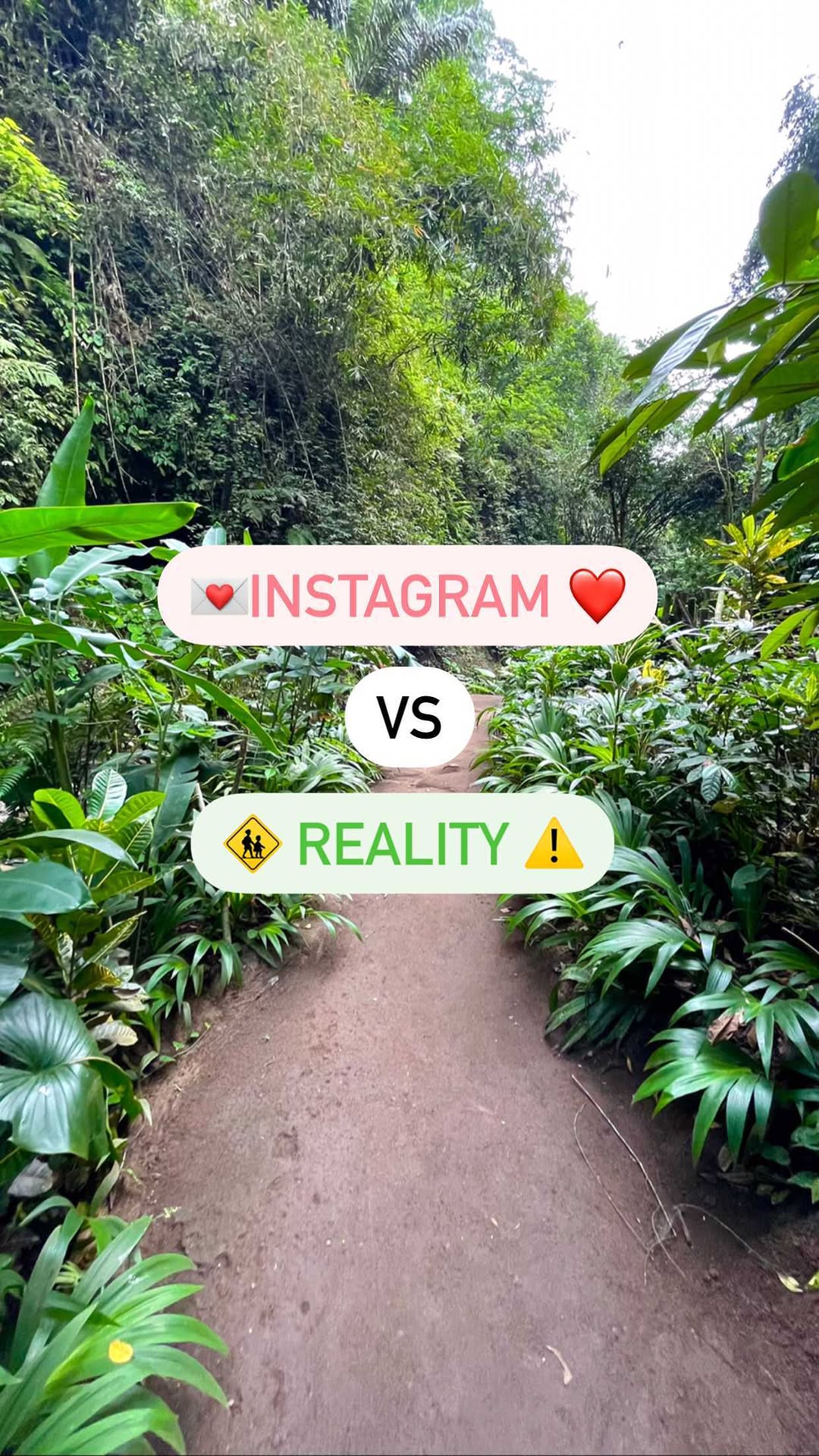 https://d2zmqyh8caa94h.cloudfront.net/creator_social_media_contents/instagram/reels/CjTadC0OoiU/CjTadC0OoiU.mp4