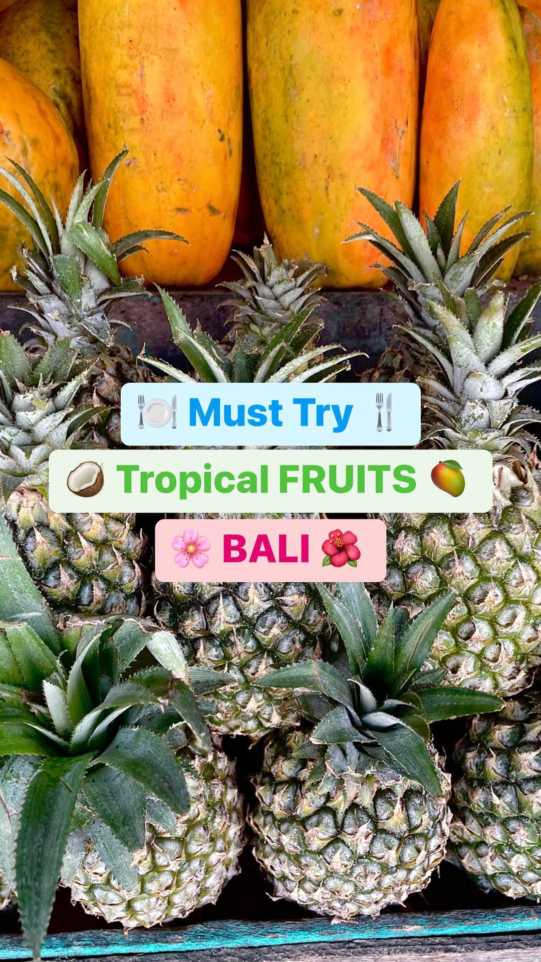 https://d2zmqyh8caa94h.cloudfront.net/creator_social_media_contents/instagram/reels/CjaxijcMDz-/CjaxijcMDz-.mp4