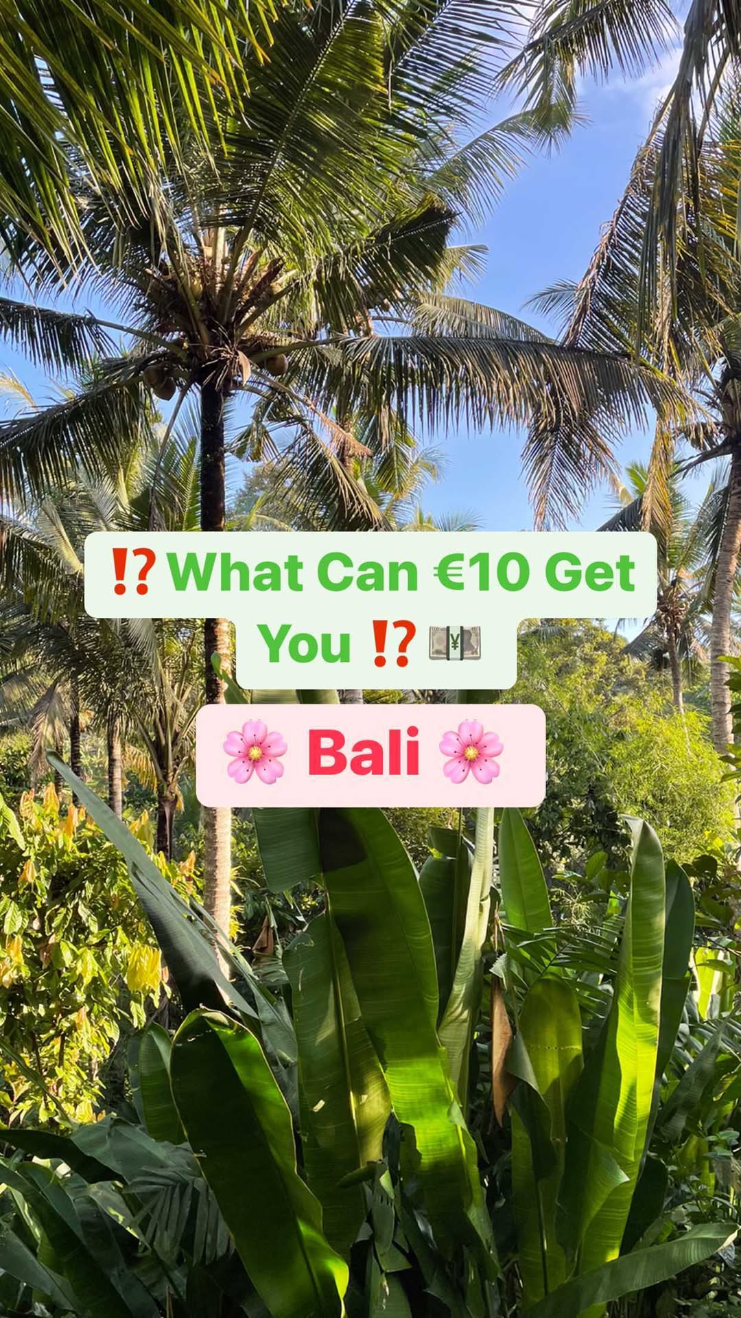 https://d2zmqyh8caa94h.cloudfront.net/creator_social_media_contents/instagram/reels/Cjdj1slJN2O/Cjdj1slJN2O.mp4