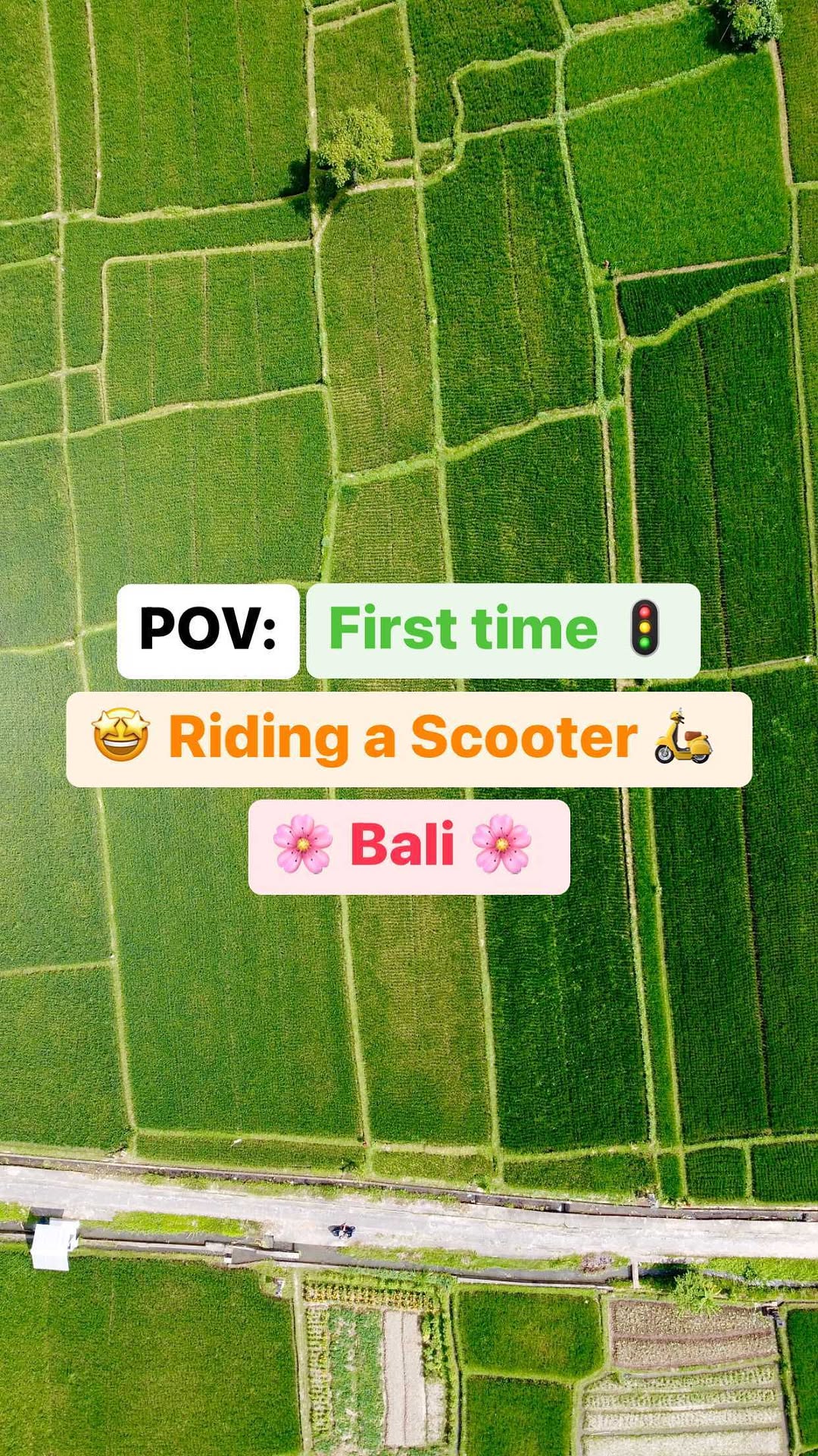 https://d2zmqyh8caa94h.cloudfront.net/creator_social_media_contents/instagram/reels/CjfqofHLl7z/CjfqofHLl7z.mp4