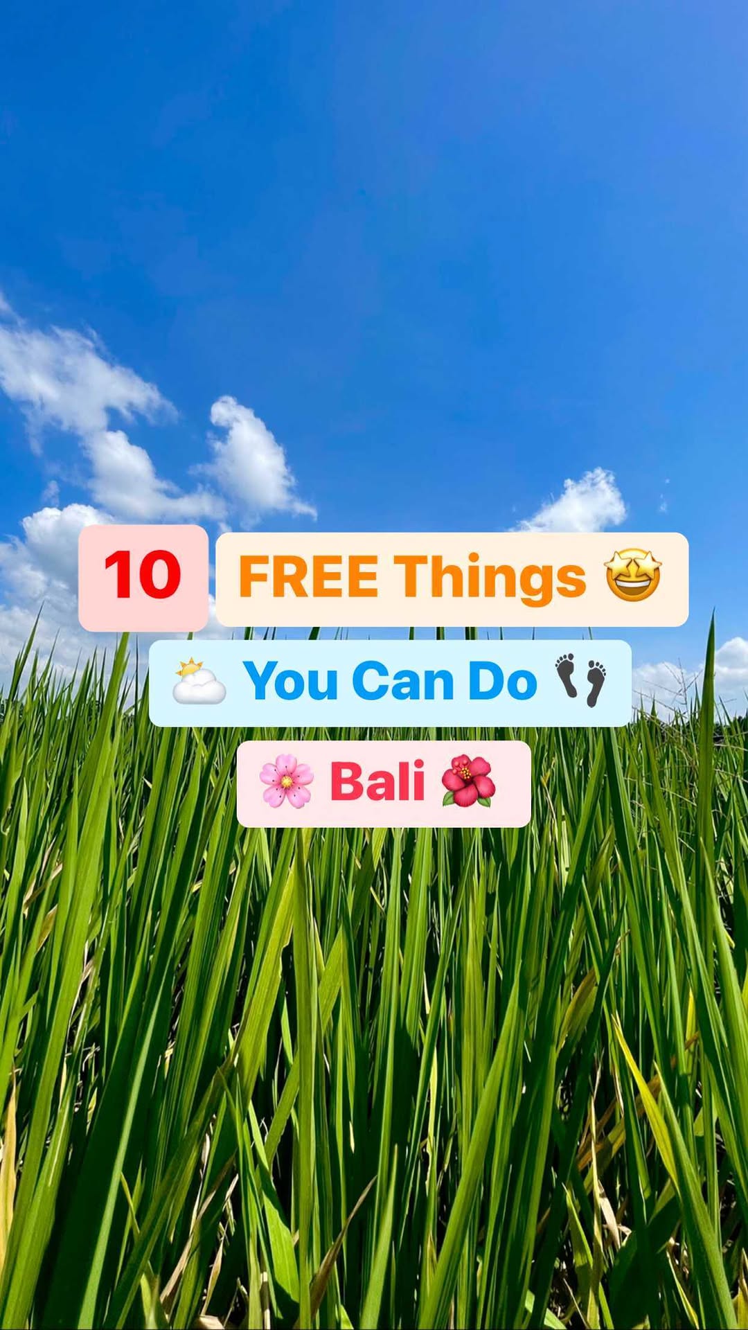 https://d2zmqyh8caa94h.cloudfront.net/creator_social_media_contents/instagram/reels/CjlIto3O-ZA/CjlIto3O-ZA.mp4