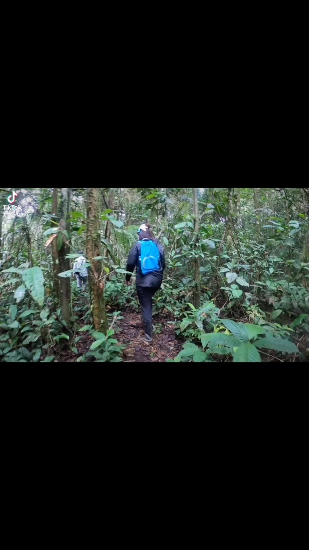https://d2zmqyh8caa94h.cloudfront.net/creator_social_media_contents/instagram/reels/CkmQ77ANWV-/CkmQ77ANWV-.mp4